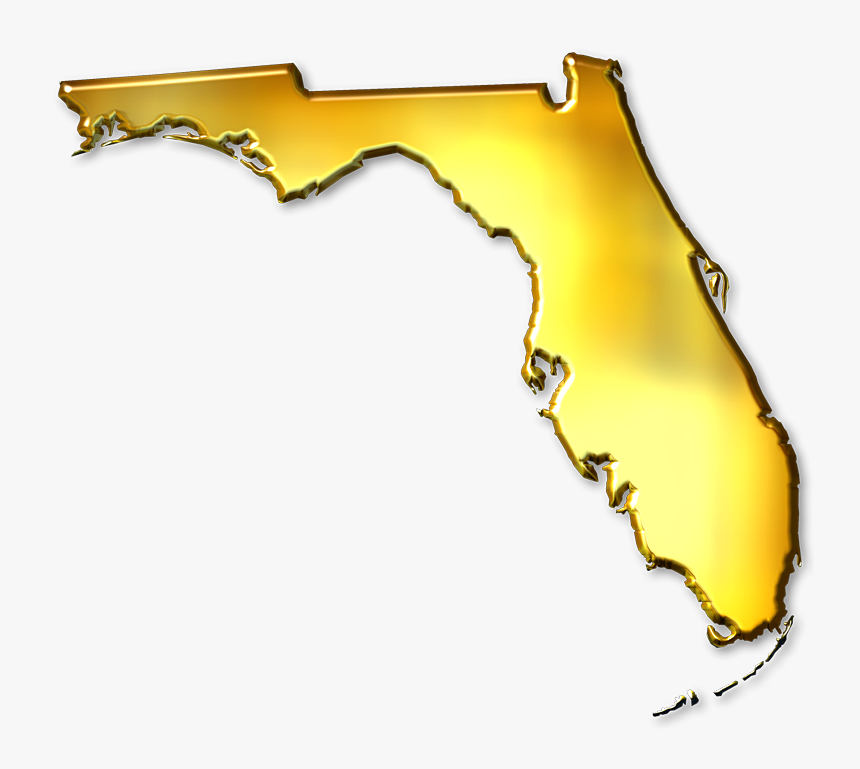 Florida Transparent Page - Gold Florida Png, Png Download, Free Download