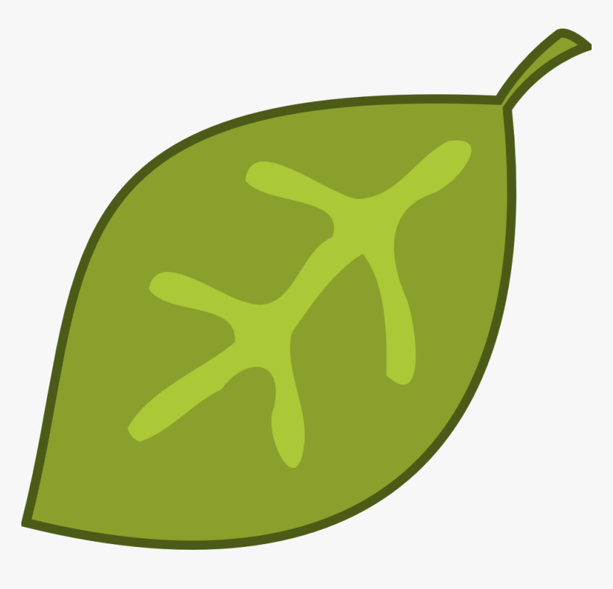 Leaf - Leaf Cartoon Png Transparent, Png Download, Free Download