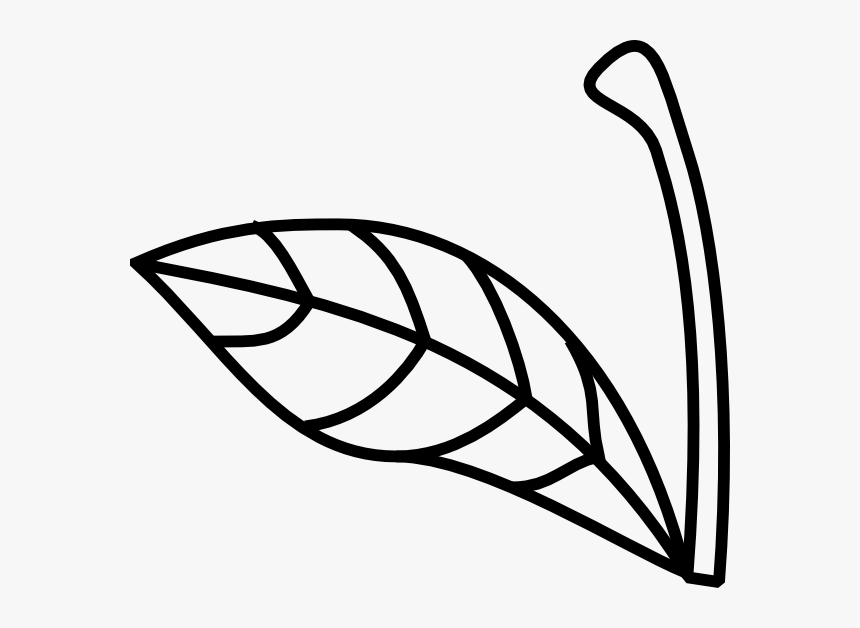 Apple Stem And Leaf Banner Royalty Free Stock - Apple Stem And Leaf Clipart, HD Png Download, Free Download
