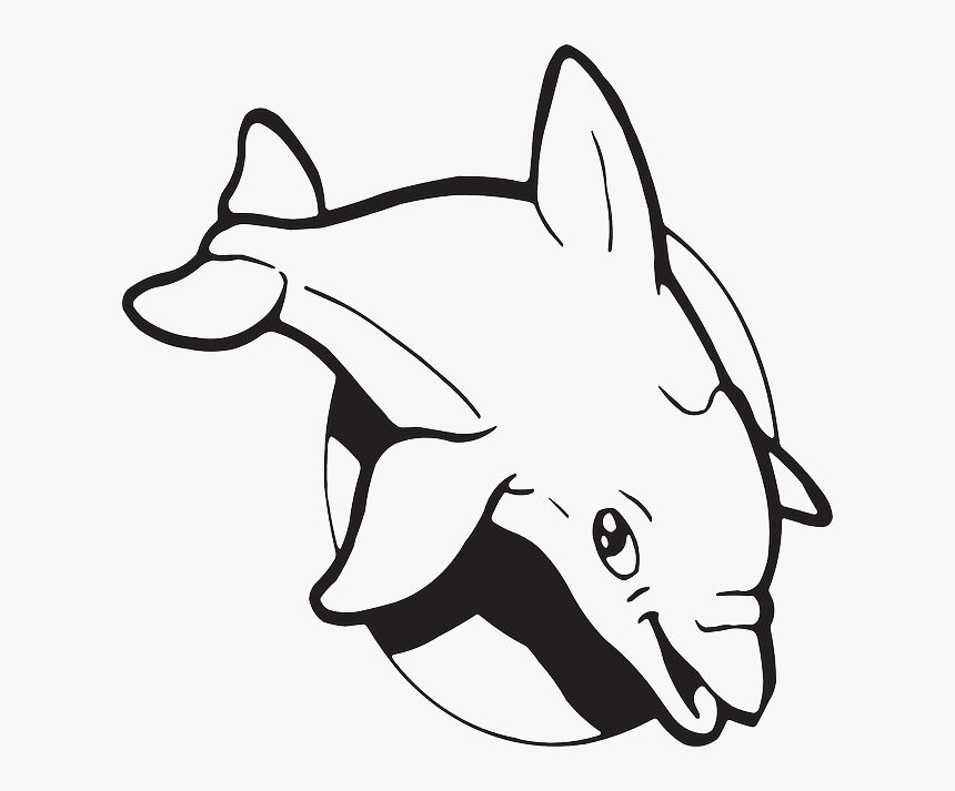 Dolphin Clipart, Suggestions For Dolphin Clipart, Download - Born Alive Animal Drawing, HD Png Download, Free Download