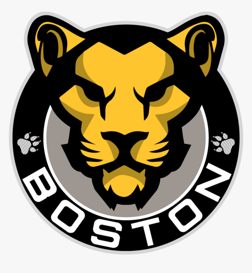 Image Result For Boston Pride Hockey Logo - Nwhl Boston Pride, HD Png Download, Free Download