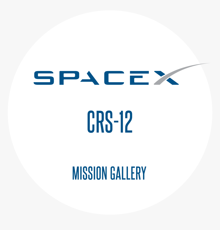 Spacex Inmarsat 5 Mission Patch - Hilton Digital Check In Logo, HD Png Download, Free Download