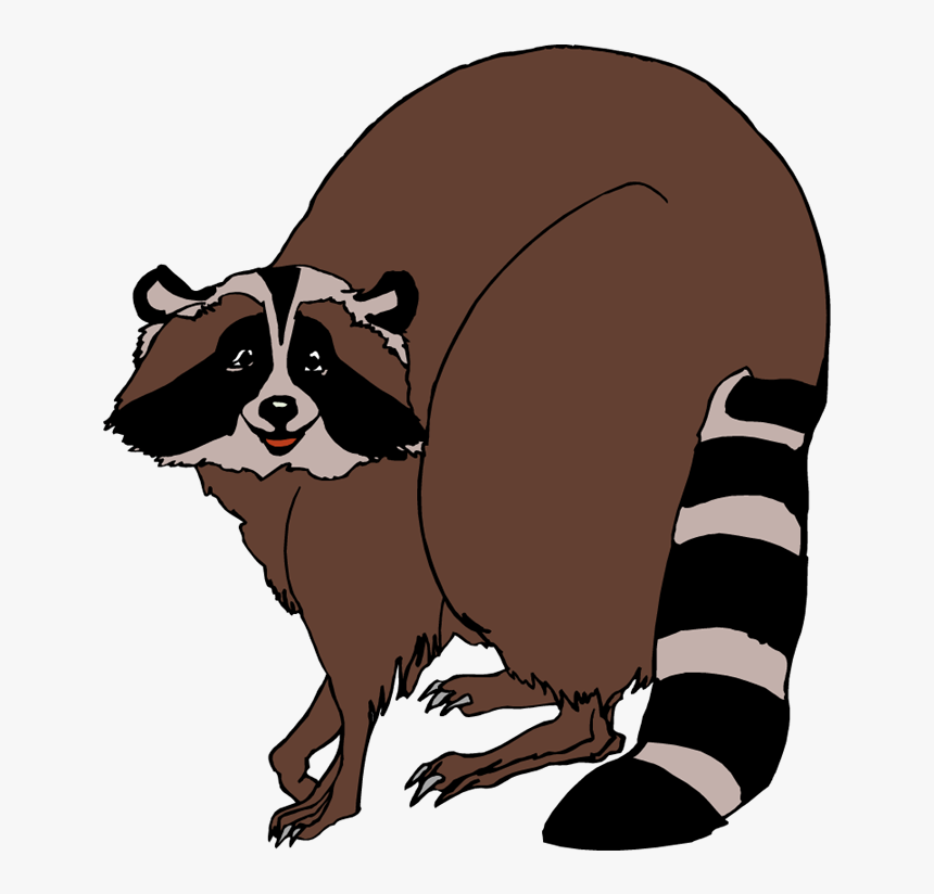 Transparent Racoon Png - Cartoon Brown Raccoon Png, Png Download, Free Download