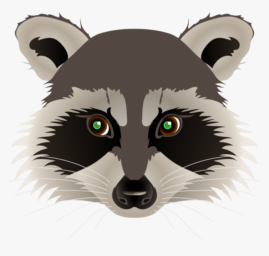 Raccoon Face Drawing At - Racoon Face Drawing, HD Png Download, Free Download