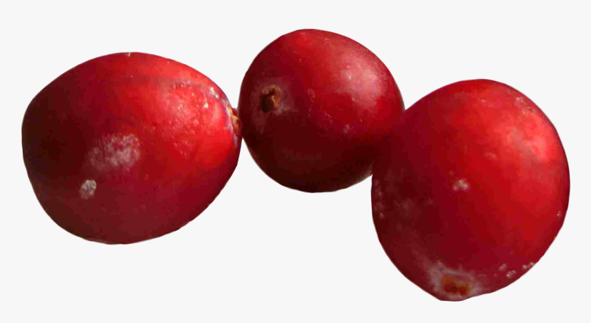 Cranberries Png Image - Cranberries Png, Transparent Png, Free Download