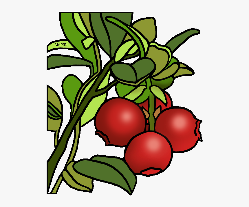 Transparent Cranberries Png - Cranberry Clipart Transparent, Png Download, Free Download