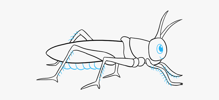 Easy How to Draw a Grasshopper Tutorial & Coloring Page