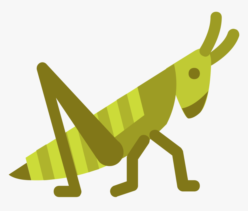 Grasshopper Clipart Pencil - Grasshopper Png, Transparent Png, Free Download