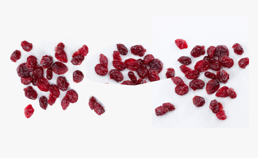 Cranberry Png, Transparent Png, Free Download