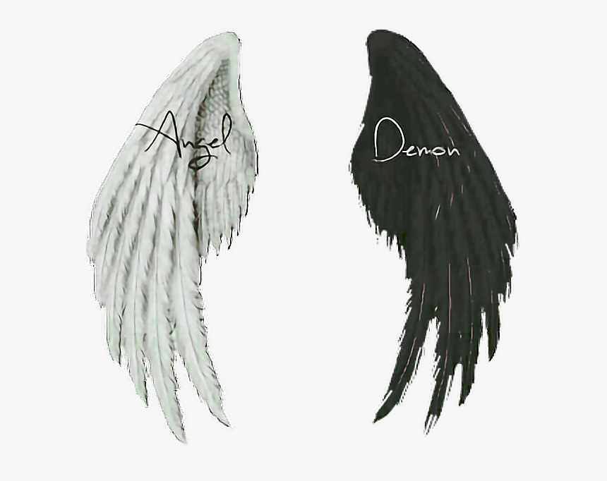 #wings #angel #demon - Transparent Background Dark Wings Png, Png Download, Free Download