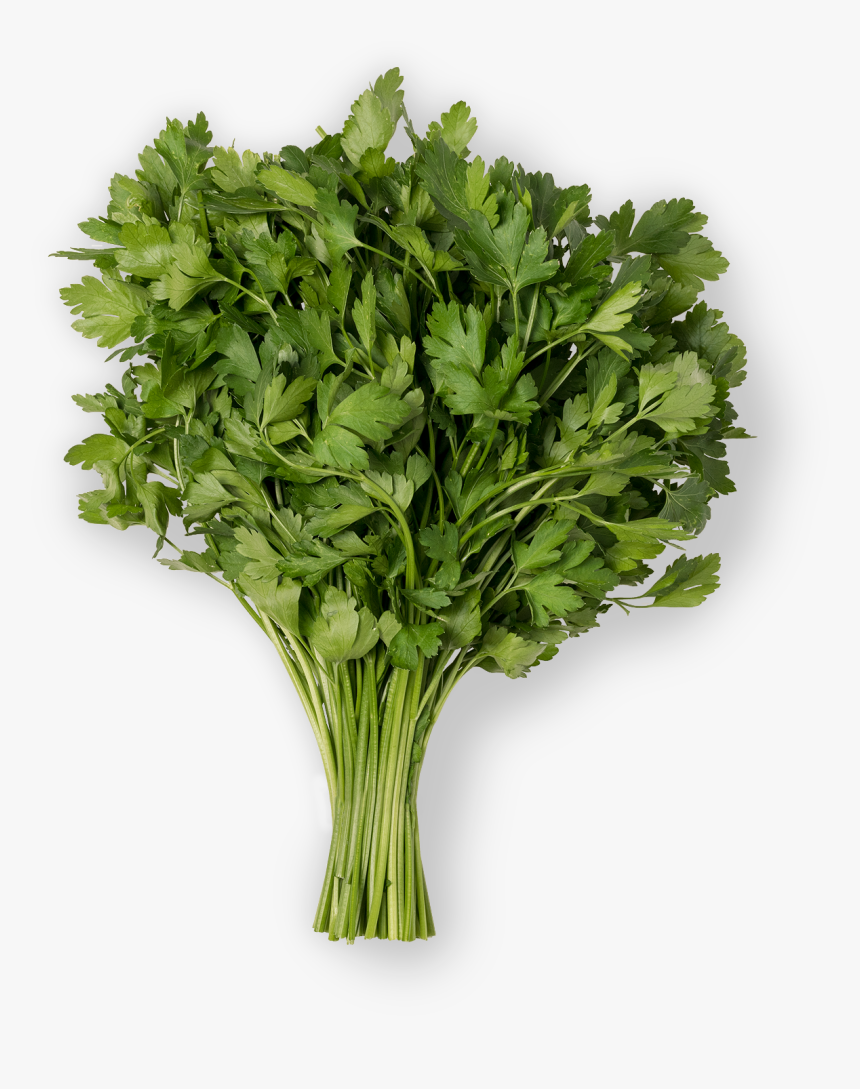 Parsley , Png Download - Parsley, Transparent Png, Free Download