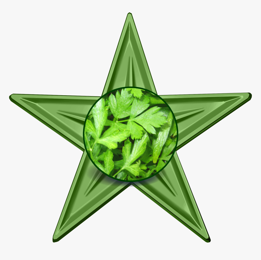 Parsley Barnstar - Economics In Our Daily Life, HD Png Download, Free Download