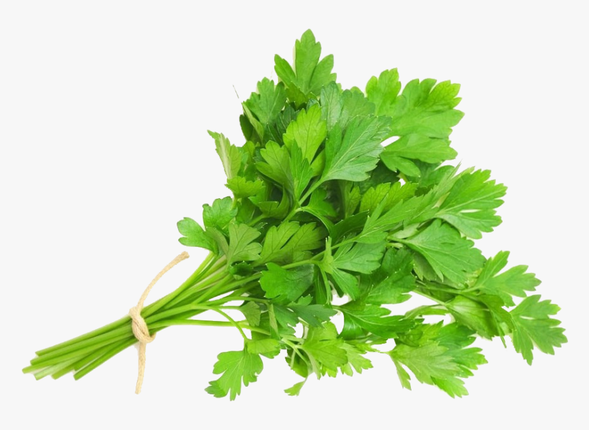 Parsley Png, Transparent Png, Free Download