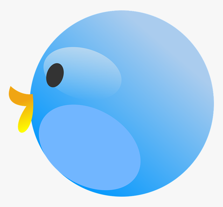 Bird, Cartoon, Head, Beak, Cute, Art, Icon, Isolated - รูป การ์ตูน หัว นก, HD Png Download, Free Download