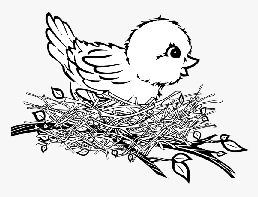 Cartoon Birds Nest - Baby Bird In Nest Drawing, HD Png Download, Free Download