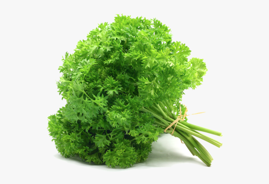 Parsley Leaves, HD Png Download, Free Download
