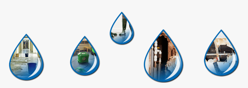 Plumbing Leak Detection And Water Damage Mitigation - Emblem, HD Png Download, Free Download