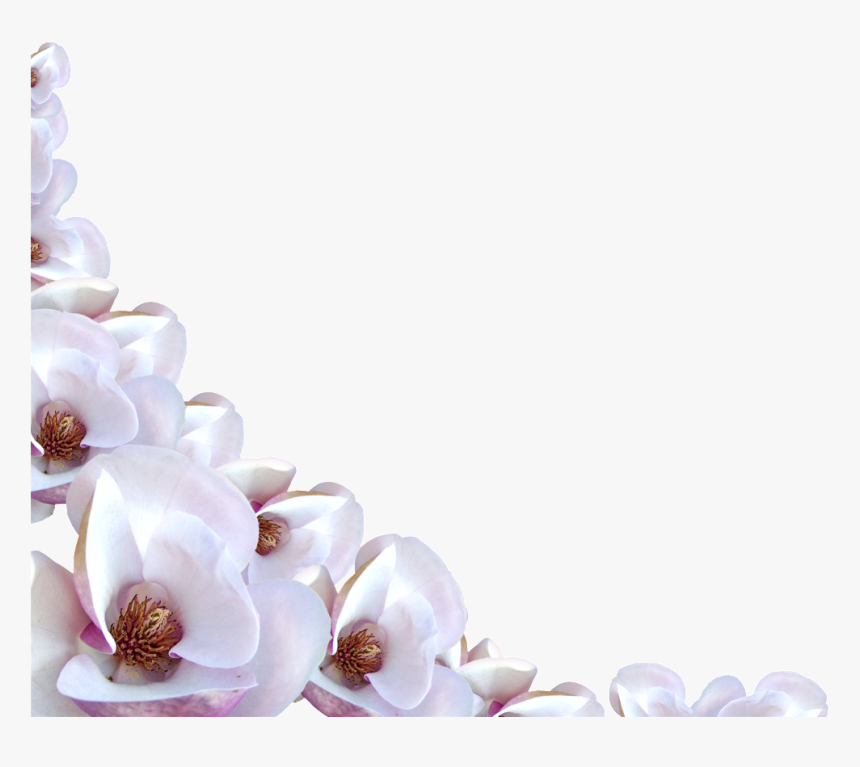 Flower Borders Images Free - Flower Border White Png, Transparent Png, Free Download