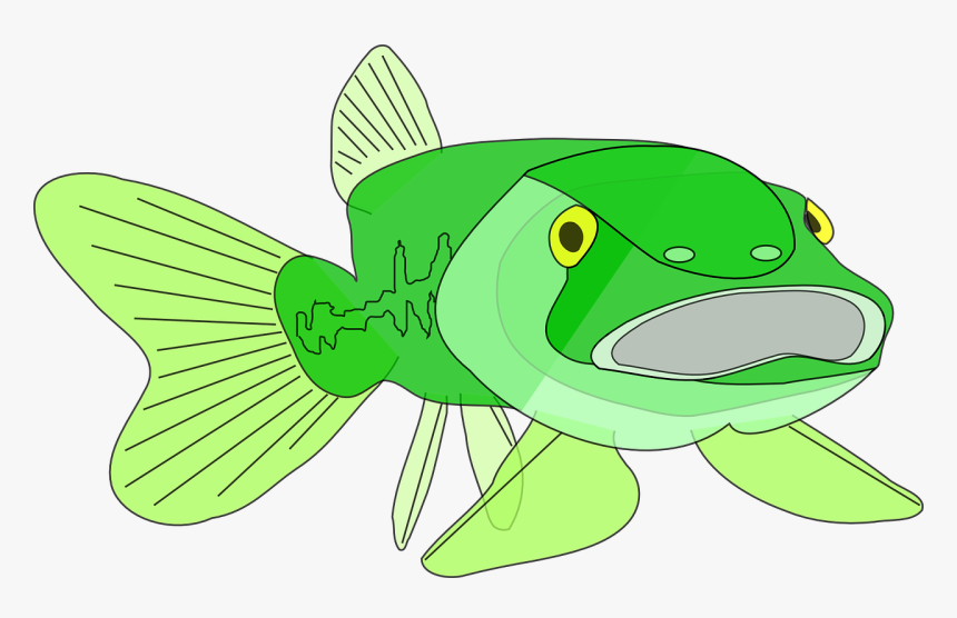 Fisk Med Stor Mund, HD Png Download, Free Download