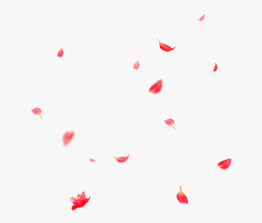 Beautiful Flower Petals Falling Png - Heart, Transparent Png, Free Download