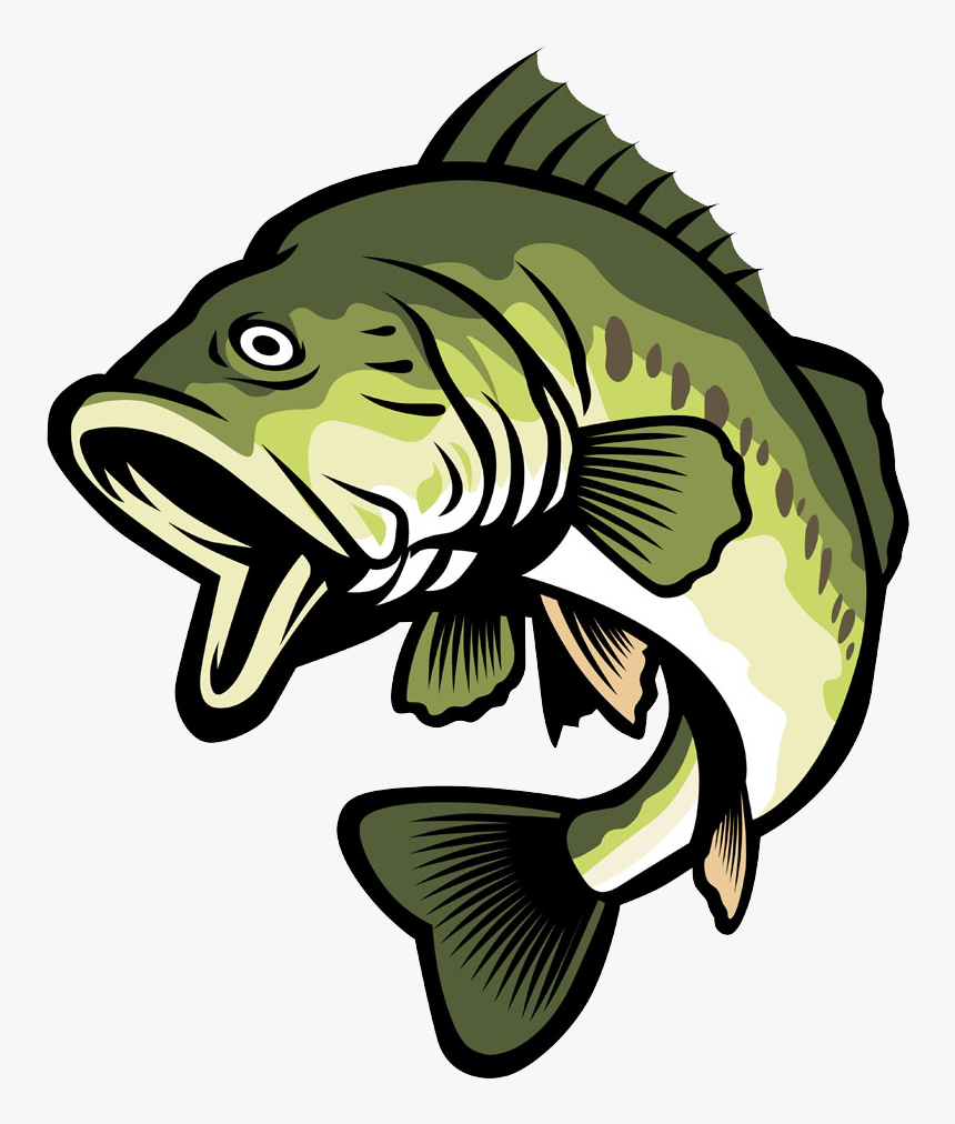 Collection Of Free Bass Vector Largemouth Download - Bass Fish Clipart, HD Png Download, Free Download