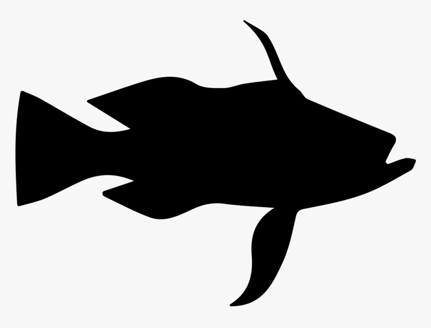 Longtail Bass Fish Shape, HD Png Download, Free Download