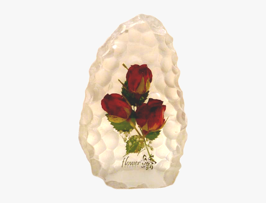 Real Rose In Resin - Garden Roses, HD Png Download, Free Download