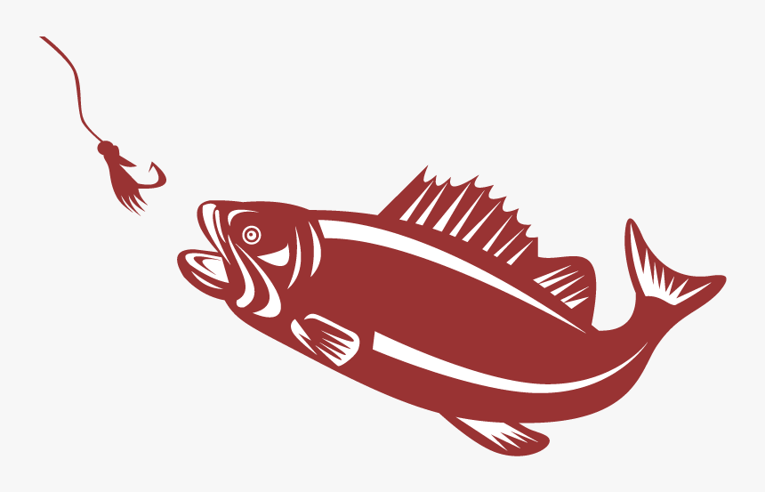 Transparent Bass Fish Png - Fish Jumping For Flies, Png Download, Free Download