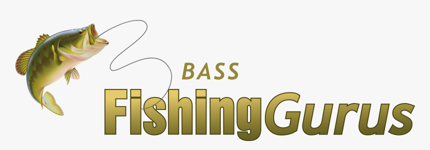 Bass Fishing Gurus - Fishing Logo Color, HD Png Download, Free Download