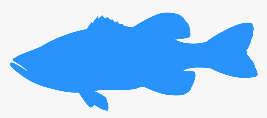 Transparent Largemouth Bass Silhouette, HD Png Download, Free Download