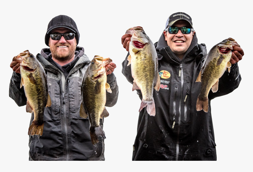 Patagonian Toothfish, HD Png Download, Free Download