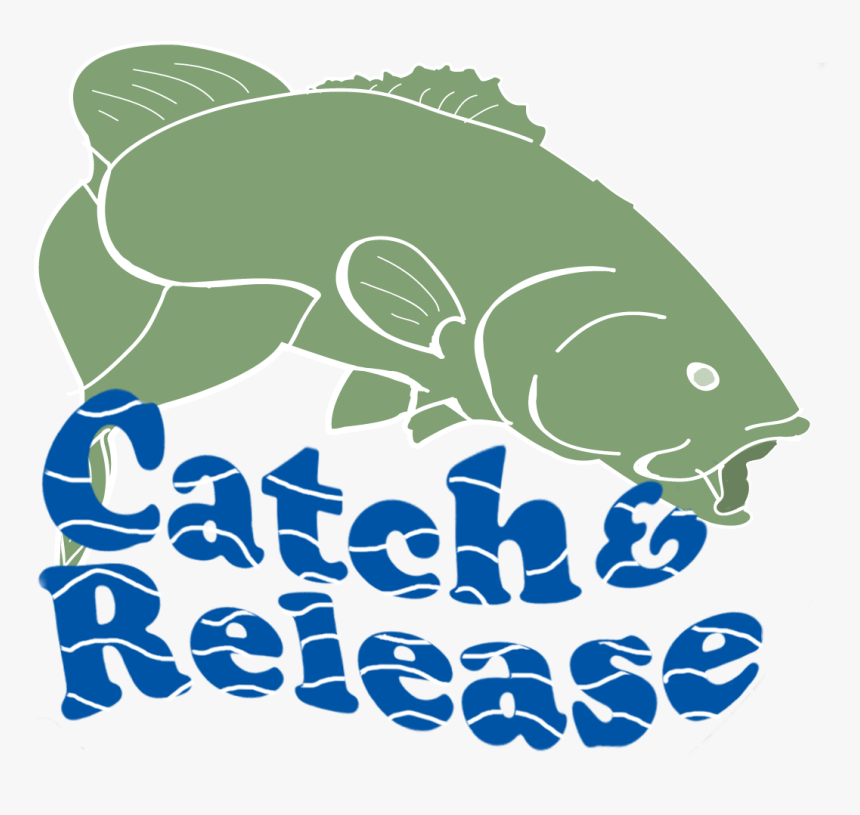 Catch And Release Png, Transparent Png, Free Download