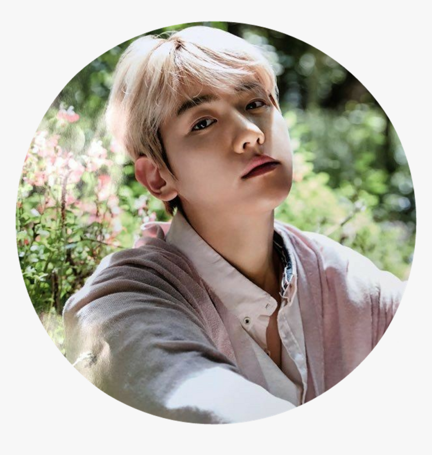 #baekhyun #circle #exo #baek - Baekhyun Nature Republic Poster, HD Png Download, Free Download