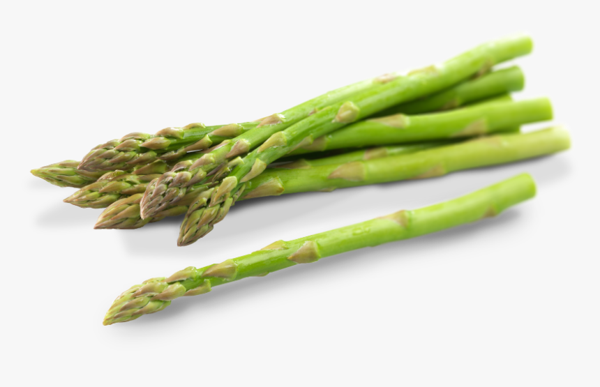 Download Asparagus Png Photos - Asparagus Png, Transparent Png, Free Download