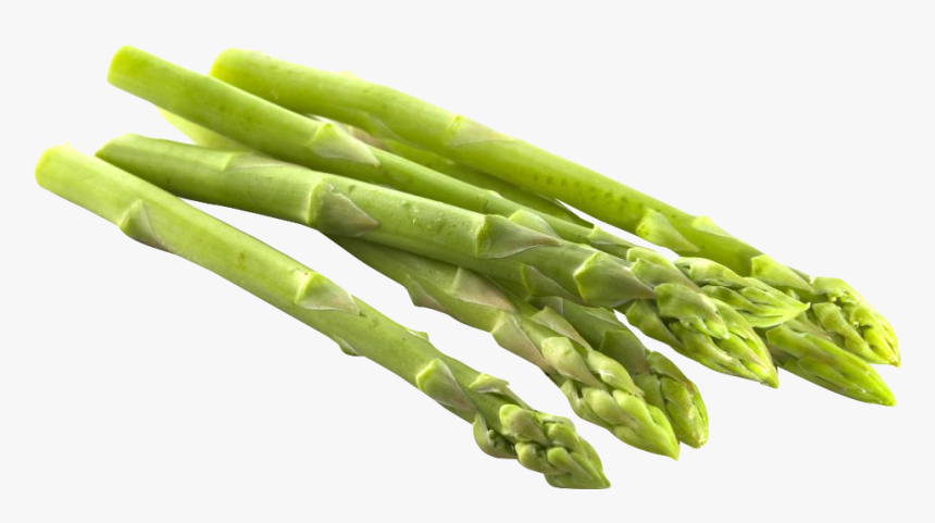 Asparagus Png Transparent Image - Asparagus Png, Png Download, Free Download