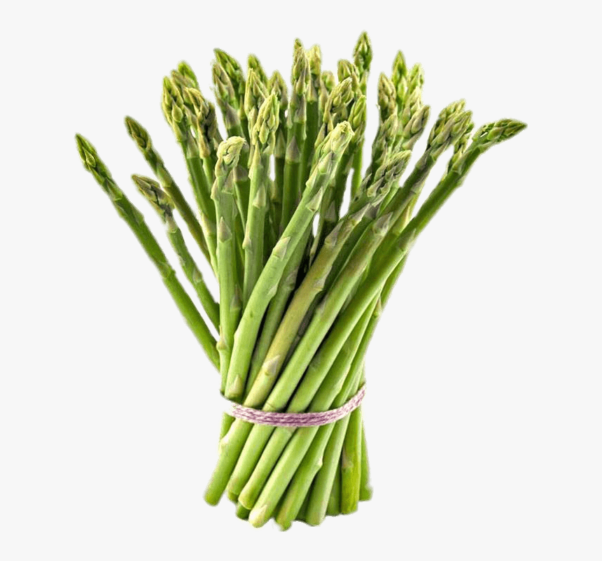 Tied Bundle Of Asparagus - Celery Translate In Arabic, HD Png Download, Free Download