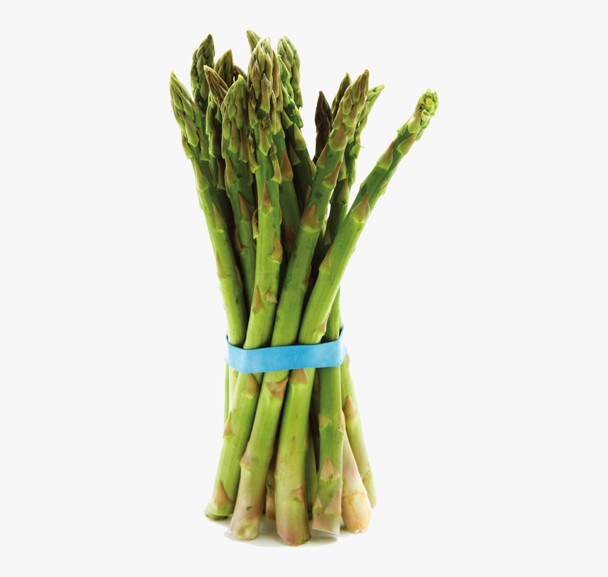 Asparagus Transparent, HD Png Download, Free Download