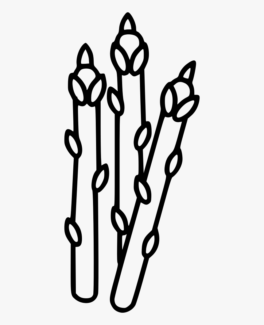 Asparagus, HD Png Download, Free Download