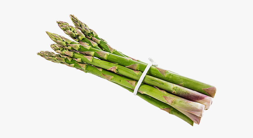 Asparagus, HD Png Download, Free Download