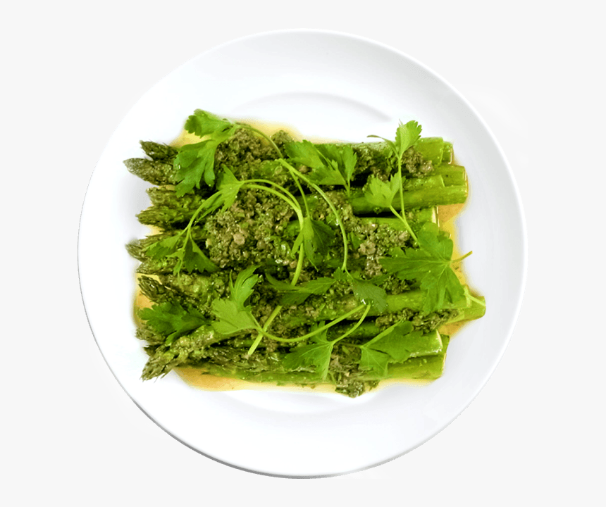 Sea Lettuce, HD Png Download, Free Download