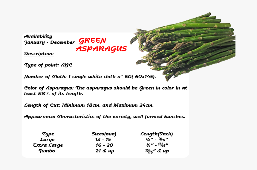 - Dirty Gardener Mary Washington Asparagus , Png Download - Asparagus Racemosus, Transparent Png, Free Download