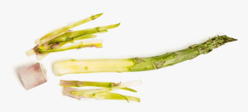 Asparagus, HD Png Download, Free Download