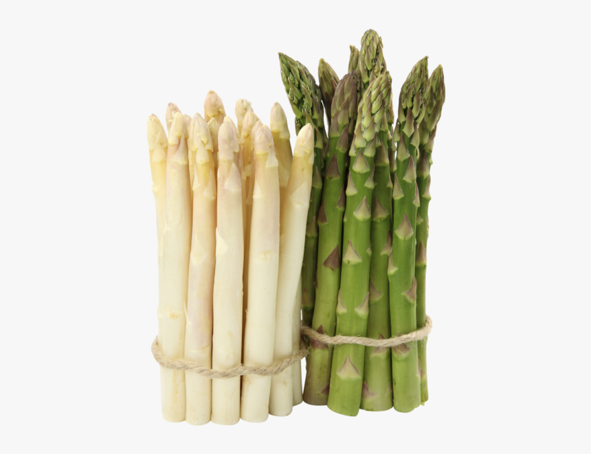 Asperges Png, Transparent Png, Free Download