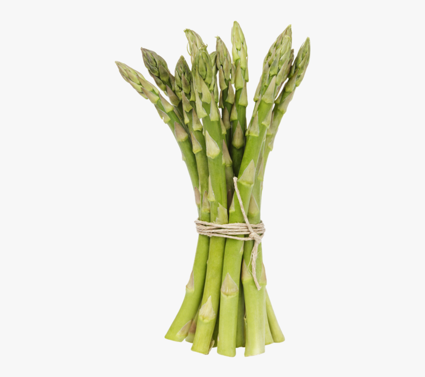 Top View Asparagus Png, Transparent Png, Free Download