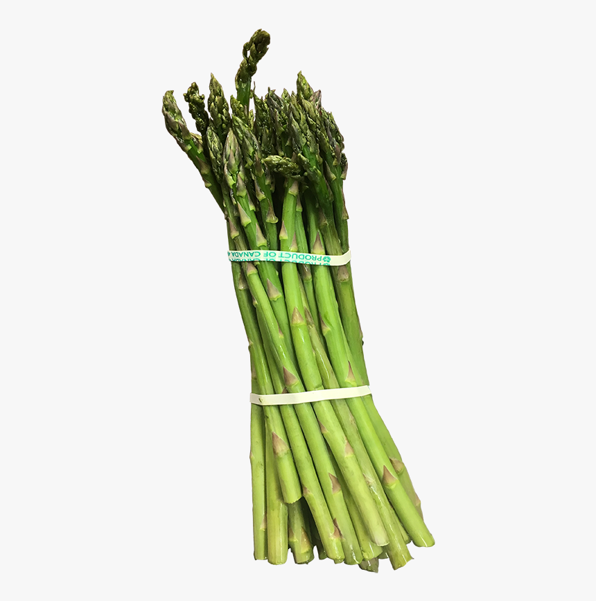 Asparagus, HD Png Download, Free Download