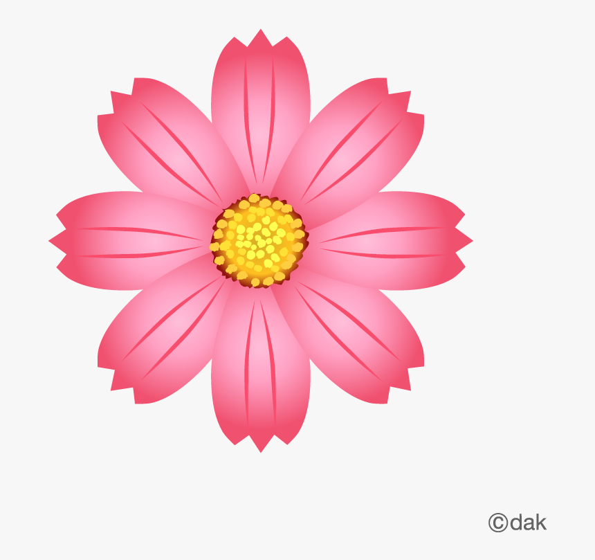 Cosmos Flower｜pictures Of Clipart And Graphic Design - Brain Attack Awareness Month, HD Png Download, Free Download