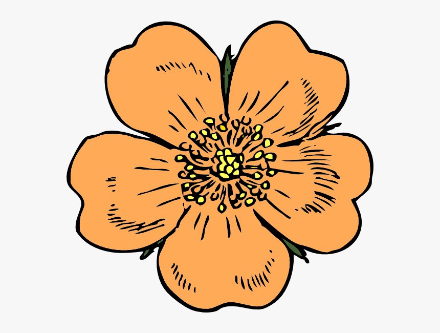 Peach Flower Clipart - Apple Blossom Flower Drawings, HD Png Download, Free Download