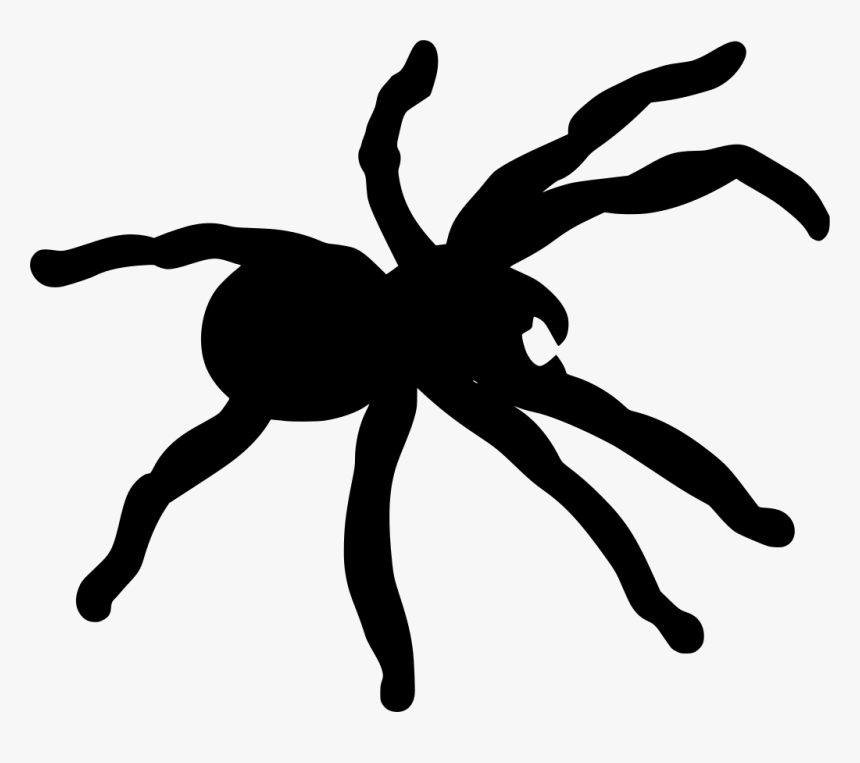 Tarantula Png - Spider Silhouette Png, Transparent Png, Free Download