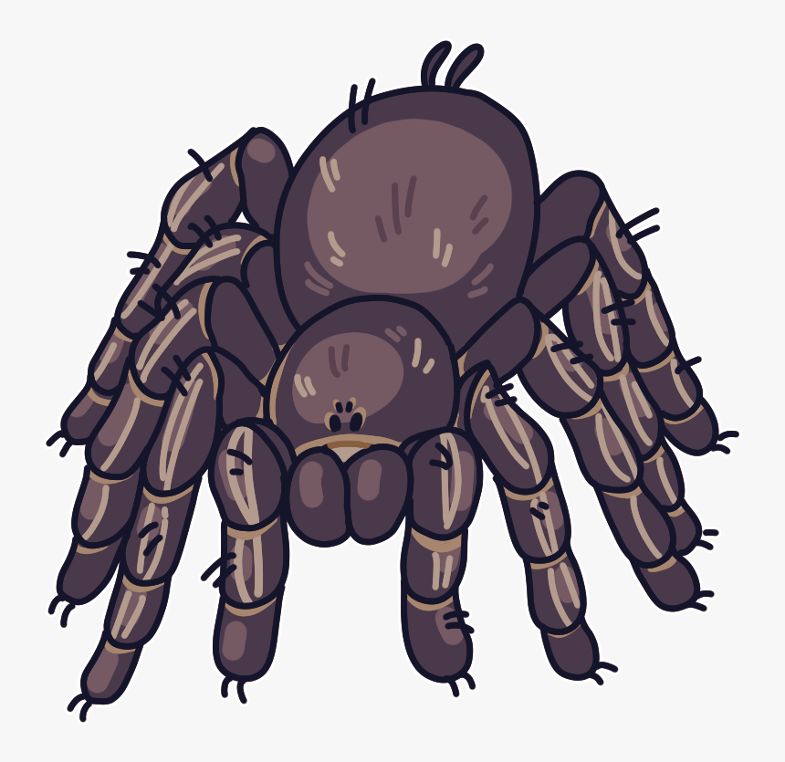 Tarantula Cartoon Png, Transparent Png, Free Download