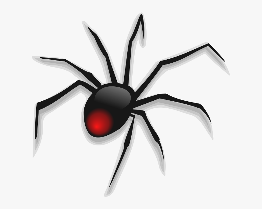 Tarantula Clipart Cute - Cartoon Transparent Background Spider, HD Png Download, Free Download